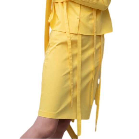 NWT ZARA PRATT FASHION UNIQUE PENCIL SKIRT SMALL - Picture 1 of 2